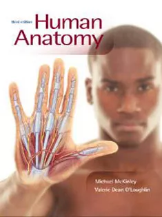 Human Anatomy