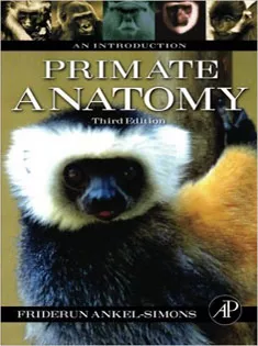 Primate Anatomy : An Introduction