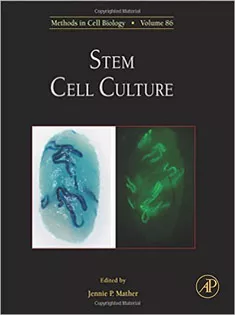 Stem Cell Culture, Methods In Cell Biology