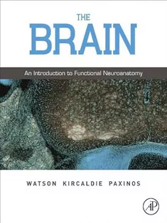 The Brain: An Introduction to Functional Neuroanatomy