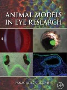 Animal Models in Eye Research