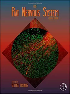The Rat Nervous System