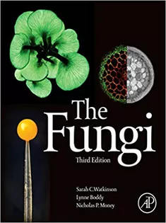 The Fungi