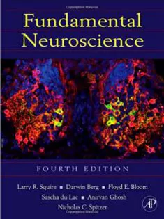 Fundamental Neuroscience