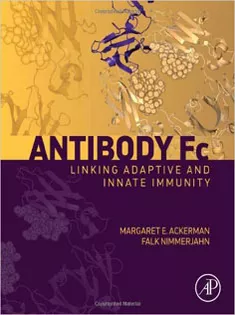 Antibody Fc:: Linking Adaptive and Innate Immunity