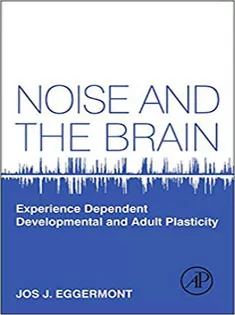 Noise and the Brain: Experience Dependent Developmental and Adult Plasticity