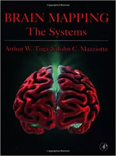 Brain Mapping: The Systems