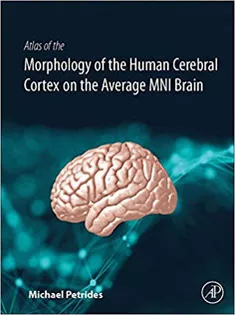 9780128009321 Atlas of the Morphology of the Human Cerebral Cortex on the Average MNI Brain