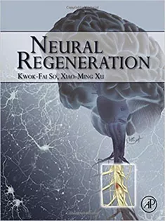 Neural Regeneration