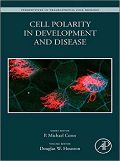 Cell Polarity in Development and Disease