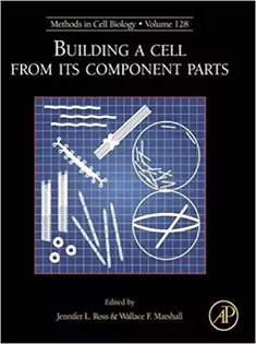 Building A Cell from Its Component Parts, Volume 128