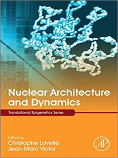 Nuclear Architecture and Dynamics, Volume 2