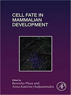 Cell Fate in Mammalian Development