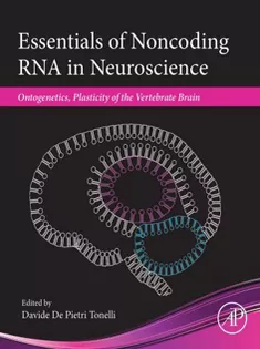 Essentials of Noncoding RNA in Neuroscience