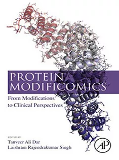 Protein Modificomics: From Modifications to Clinical Perspectives