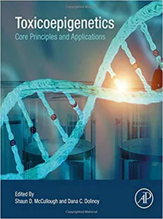 Toxicoepigenetics: Core Principles and Applications