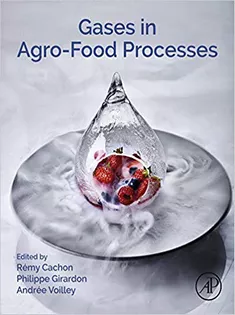 Gases in Agro-food Processes