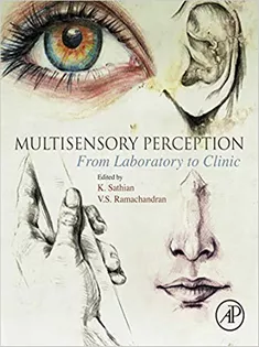Multisensory Perception: From Laboratory to Clinic