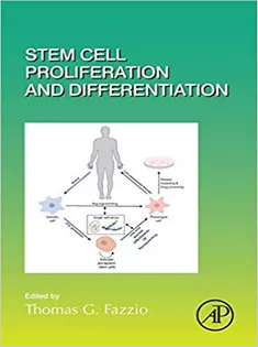 Stem Cell Proliferation and Differentiation