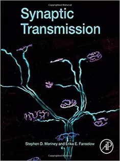 Synaptic Transmission