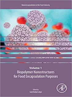 Biopolymer Nanostructures for Food Encapsulation Purposes
