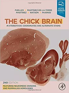 The Chick Brain in Stereotaxic Coordinates and Alternate Stains: Featuring Neuromeric Divisions and Mammalian Homologies