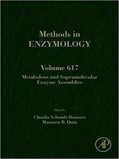 Metabolons and Supramolecular Enzyme Assemblies, Volume 617
