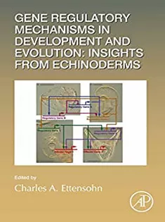 Gene Regulatory Mechanisms in Development and Evolution: Insights from Echinoderms-Vol 146