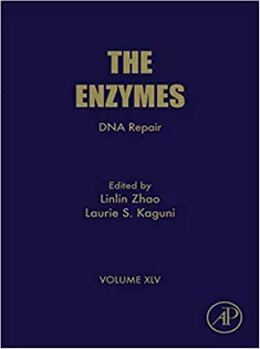 DNA Repair