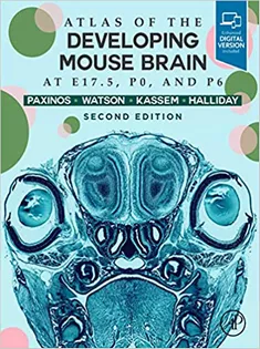9780128185438 Atlas of the Developing Mouse Brain