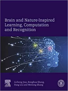 Brain and Nature-Inspired Learning, Computation and Recognition