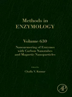 Nanoarmoring of Enzymes with Carbon Nanotubes and Magnetic Nanoparticles