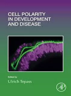 Cell Polarity in Development and Disease