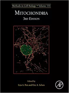 Mitochondria Biology