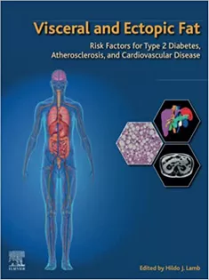 Visceral and Ectopic Fat: Risk Factors for Type 2 Diabetes
