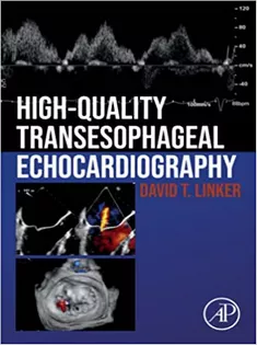High-Quality Transesophageal Echocardiography