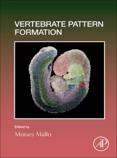 Vertebrate Pattern Formation (Current Topics in Developmental Biology, Volume 159)