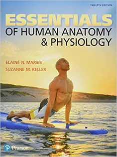 Essentials of Human Anatomy & Physiology Laboratory Manual1