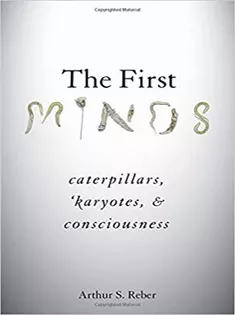 The First Minds: Caterpillars, Karyotes, and Consciousness