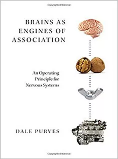Brains As Engines of Association