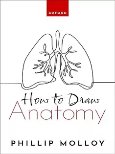 How To Draw Anatomy