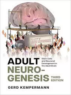 Adult Neurogenesis: Stem Cells and Neuronal Development in the Adult Brain