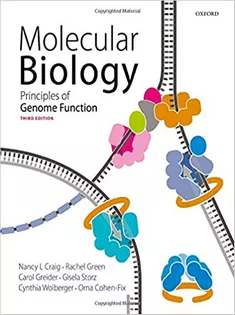 Molecular Biology: Principles of Genome Function