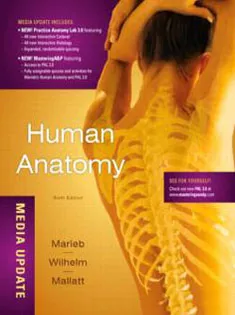 Human Anatomy, Media Update