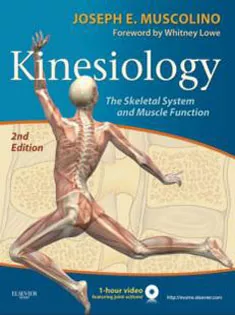 Kinesiology: The Skeletal System and Muscle Function 2011