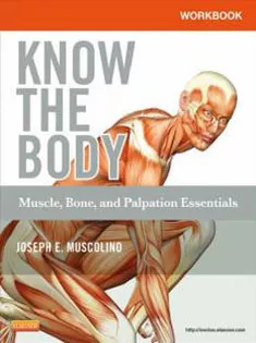 Workbook for Know the Body: Muscle, Bone, and Palpation Essentials