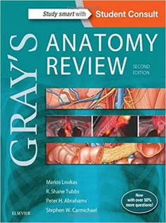 Gray's Anatomy Review