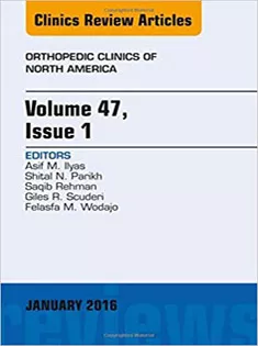 Volume 47, Issue 1, An Issue of Orthopedic Clinics