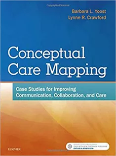 Conceptual Care Mapping