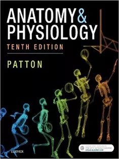 Anatomy & Physiology